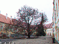 Decin - castle