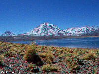 Chile - Laguny pobl� San Pedro de Atacama - v rezervaci Los Flamencos