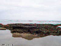Kostarika - PuertO ViejO de Talamanca