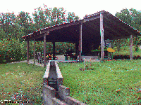 Costa Rica - Don Juan coffee plantation