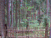 Bohemian Forest - Boubin