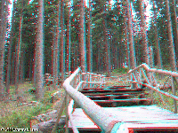 Bohemian Forest - Boubin