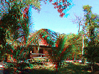 Mexico - parc