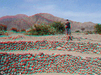Peru - Nazca - aqueducts
