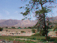Peru - Nazca - aqueducts