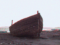 Peru - west coast - Paracas