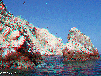 Peru - National reserve of Paracas