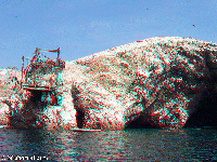 Peru - National reserve of Paracas