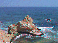 Peru - National reserve of Paracas