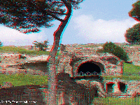 ��m - Palatino