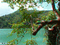Thailand 3D: NP Angthonk