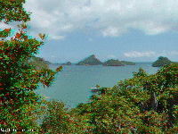 Thailand 3D: NP Angthonk