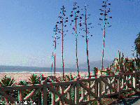 Los Angeles - pl� a okol� - Santa Monica