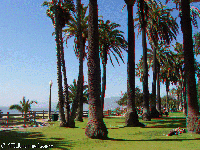 Los Angeles - pl� a okol� - Santa Monica