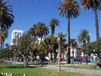 Los Angeles - pl� a okol� - Santa Monica