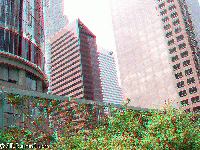 Los Angeles - centrum m�sta