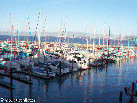 San Francisco - Pier 39
