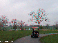 St. Louis - Forest Park