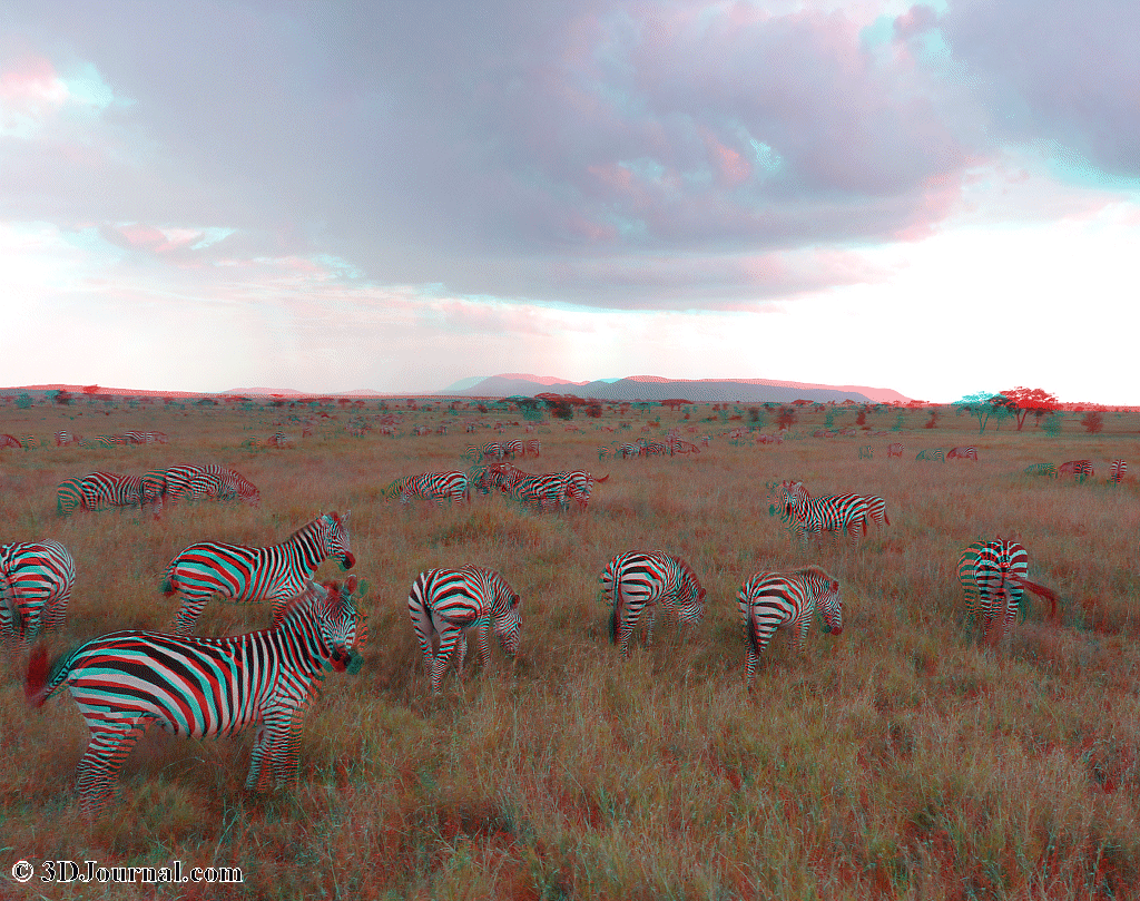 Tanzánie - Národní parky Serengeti, Lake Manyara, Ngorongoro